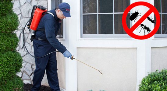 Yusufeli Böcek İlaçlama böcek ilaçlama ve haşere kontrolü — ilaclama-tr.com